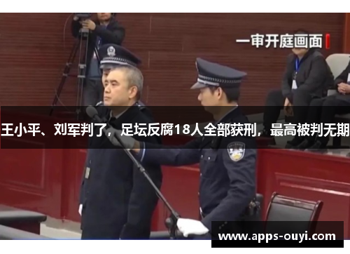 王小平、刘军判了，足坛反腐18人全部获刑，最高被判无期