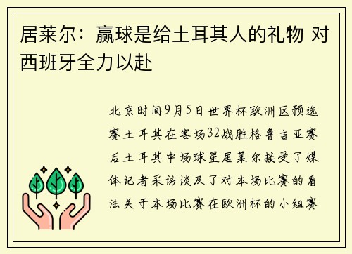 居莱尔：赢球是给土耳其人的礼物 对西班牙全力以赴
